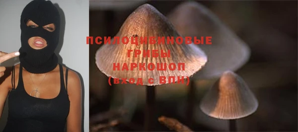 ПСИЛОЦИБИНОВЫЕ ГРИБЫ Аркадак