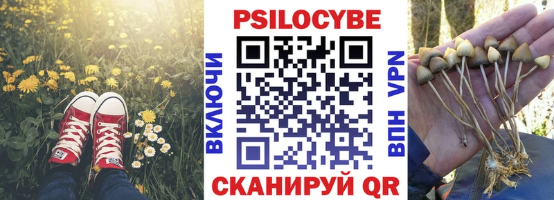 где купить наркоту  Белозерск  shop телеграм  Псилоцибиновые грибы мицелий 