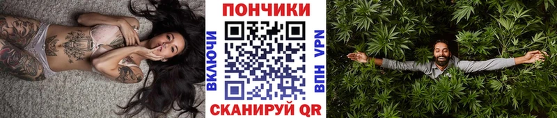 кракен как зайти  Белозерск  МАРИХУАНА ГИДРОПОН 